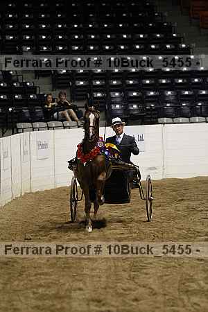 Proof Number 10buck_5455