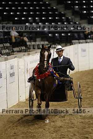 Proof Number 10buck_5456