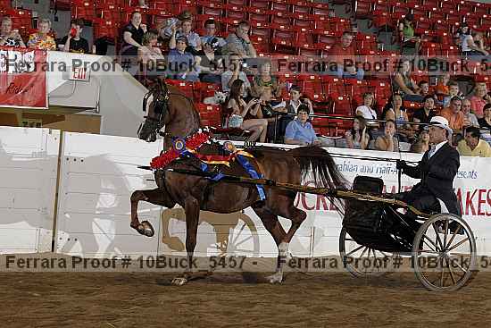 Proof Number 10buck_5457