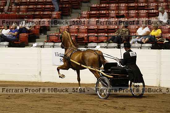 Proof Number 10buck_5594