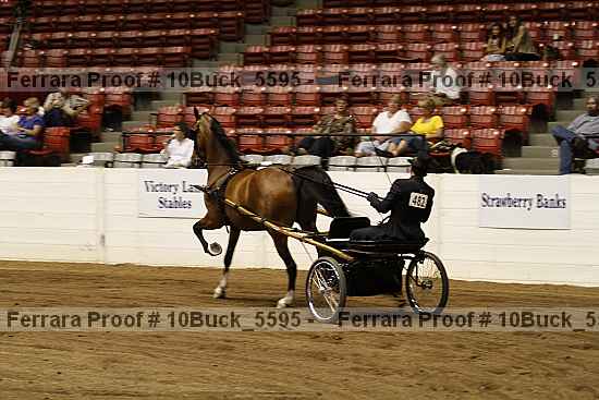 Proof Number 10buck_5595