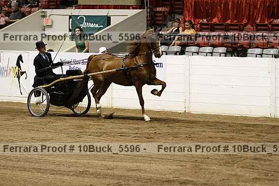 Proof Number 10buck_5596