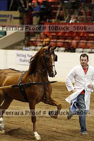 Proof Number 10buck_5606