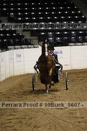 Proof Number 10buck_5607
