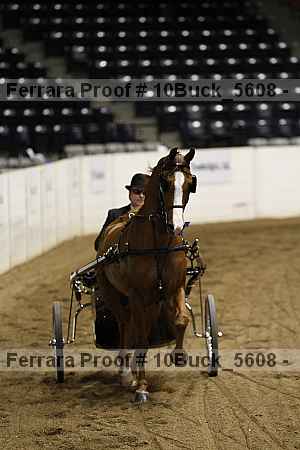 Proof Number 10buck_5608
