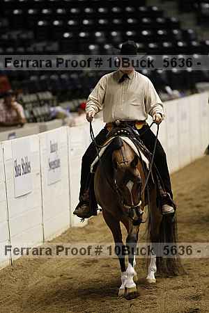 Proof Number 10buck_5636