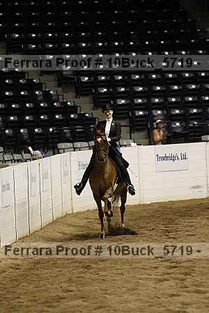 Proof Number 10buck_5719