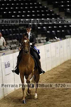 Proof Number 10buck_5720