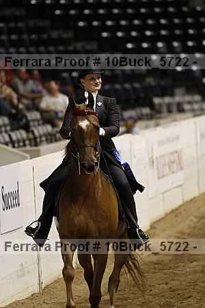 Proof Number 10buck_5722