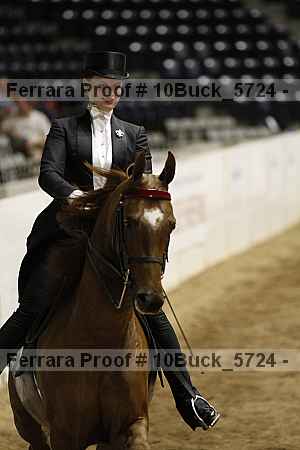 Proof Number 10buck_5724