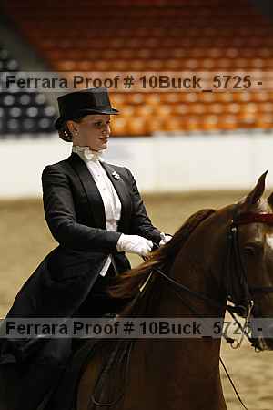 Proof Number 10buck_5725