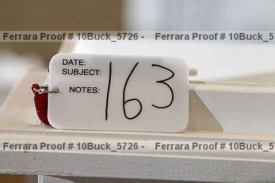 Proof Number 10buck_5726
