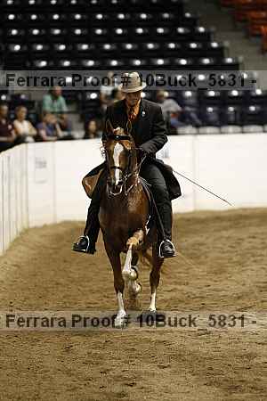 Proof Number 10buck_5831