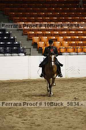 Proof Number 10buck_5834