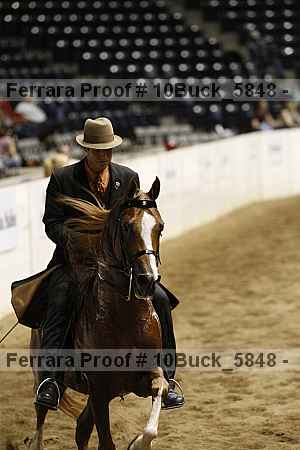 Proof Number 10buck_5848