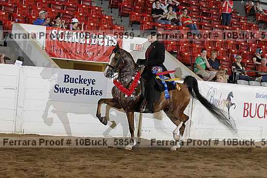 Proof Number 10buck_5859