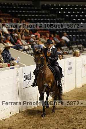 Proof Number 10buck_5872