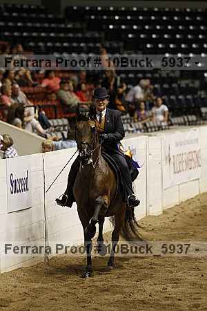 Proof Number 10buck_5937