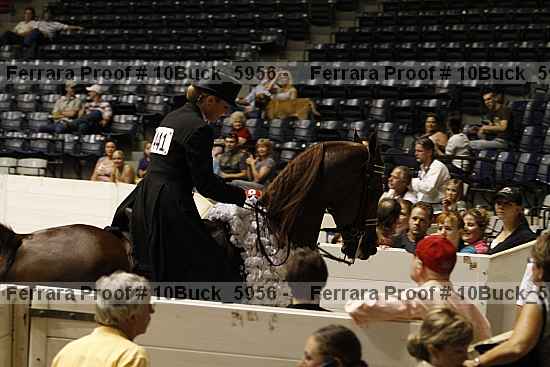 Proof Number 10buck_5956
