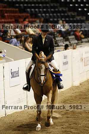 Proof Number 10buck_5983