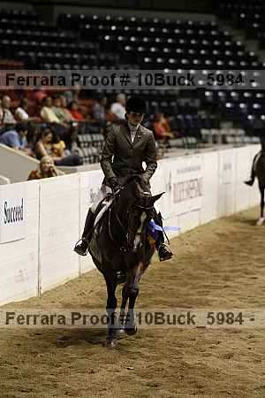 Proof Number 10buck_5984