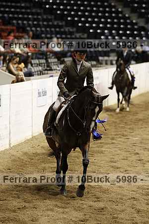 Proof Number 10buck_5986