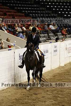 Proof Number 10buck_5987
