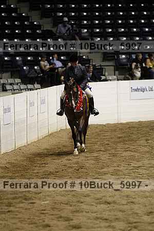 Proof Number 10buck_5997