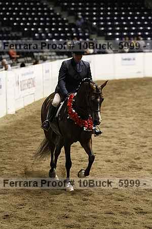 Proof Number 10buck_5999