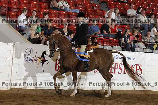 Proof Number 10buck_6017