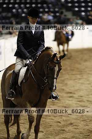 Proof Number 10buck_6028