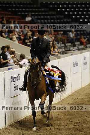 Proof Number 10buck_6032
