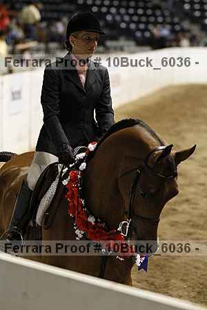 Proof Number 10buck_6036