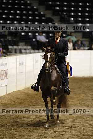 Proof Number 10buck_6070