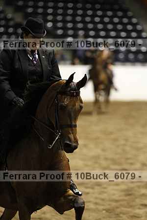 Proof Number 10buck_6079
