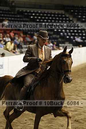 Proof Number 10buck_6084
