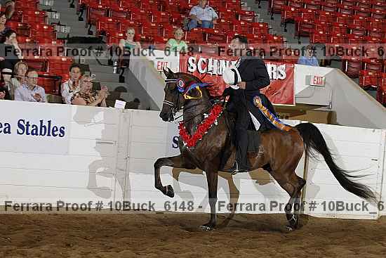 Proof Number 10buck_6148