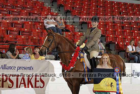 Proof Number 10buck_6160