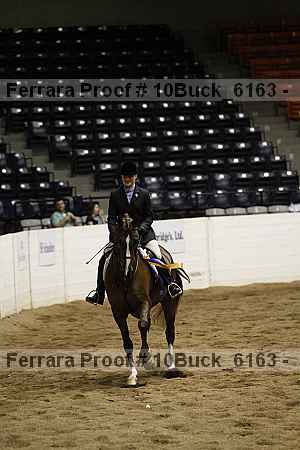 Proof Number 10buck_6163
