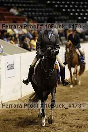 Proof Number 10buck_6173