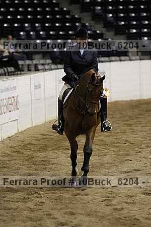 Proof Number 10buck_6204