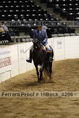 Proof Number 10buck_6206