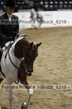Proof Number 10buck_6218