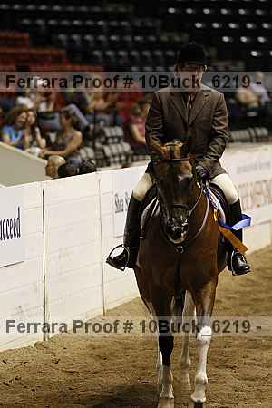Proof Number 10buck_6219