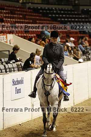 Proof Number 10buck_6222