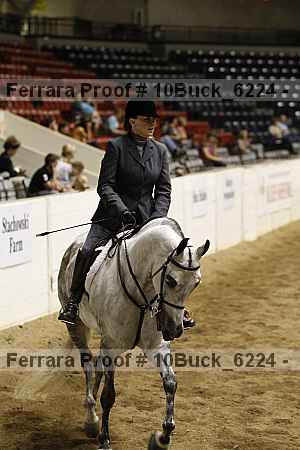 Proof Number 10buck_6224