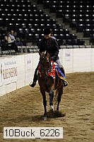 10buck_6226 thumbnail