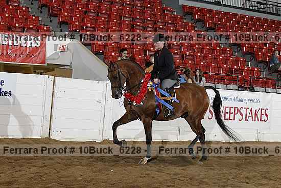 Proof Number 10buck_6228