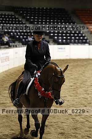Proof Number 10buck_6229