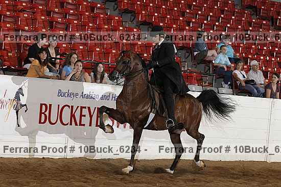 Proof Number 10buck_6234